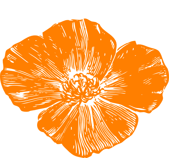 Along the Golden Trail